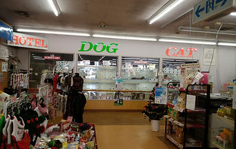 わんわん村上田店内 ペットホテル
