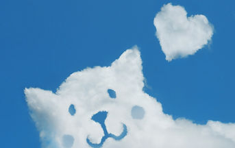 雲