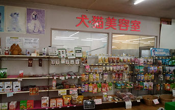 わんわん村上田店 犬猫美容室