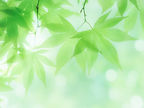 背景