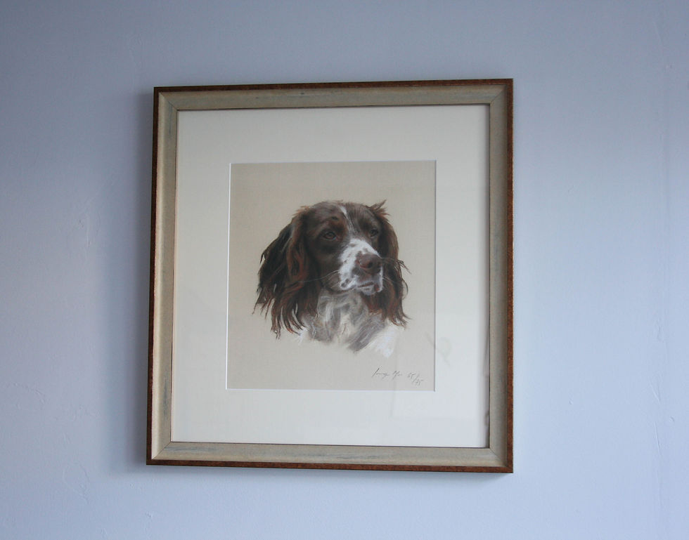 Thumbnail: Framed Scrub Print