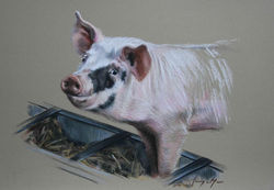 Trougher