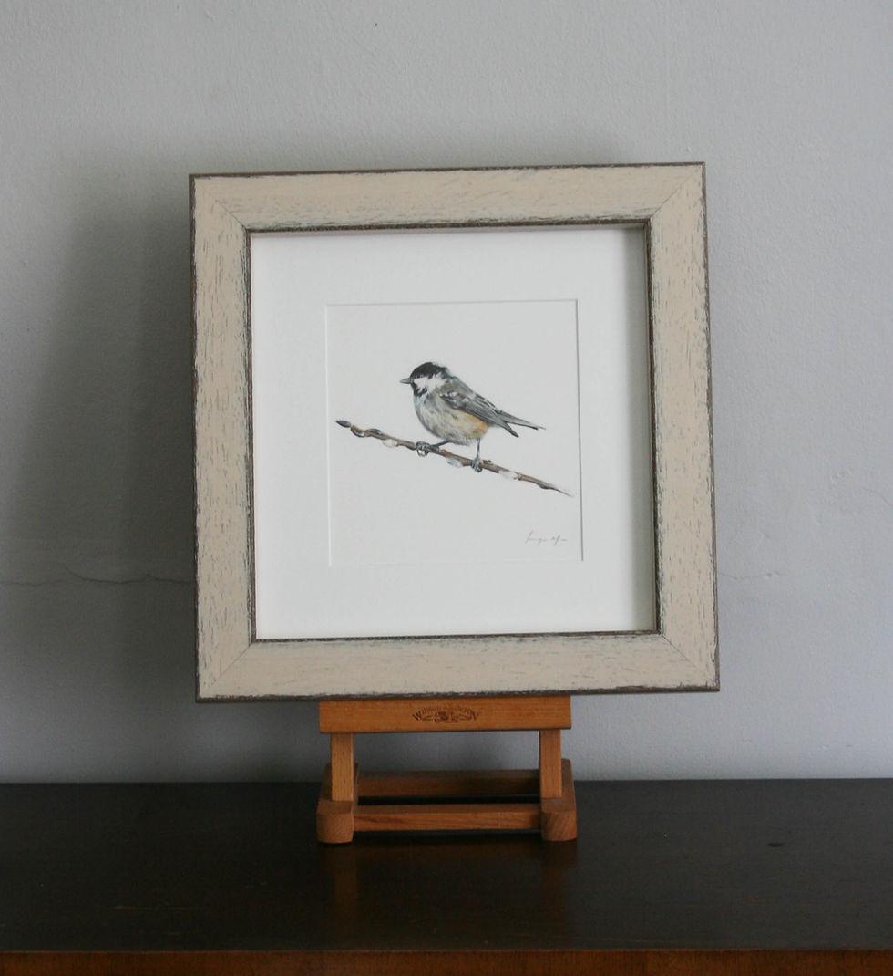 Thumbnail: Coal Tit