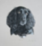 Dolly