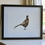 Thumbnail: Framed Philip