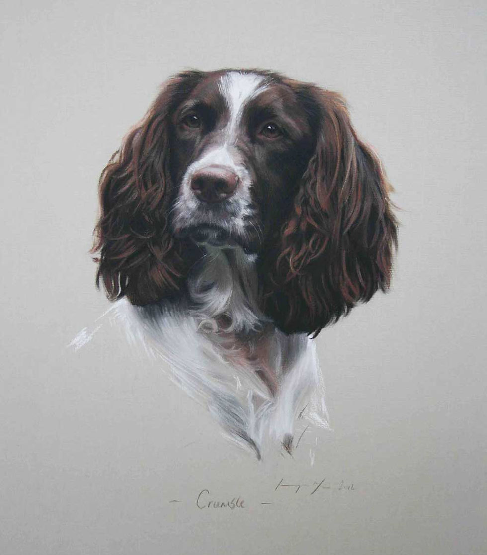 Thumbnail: Crumble the Spaniel