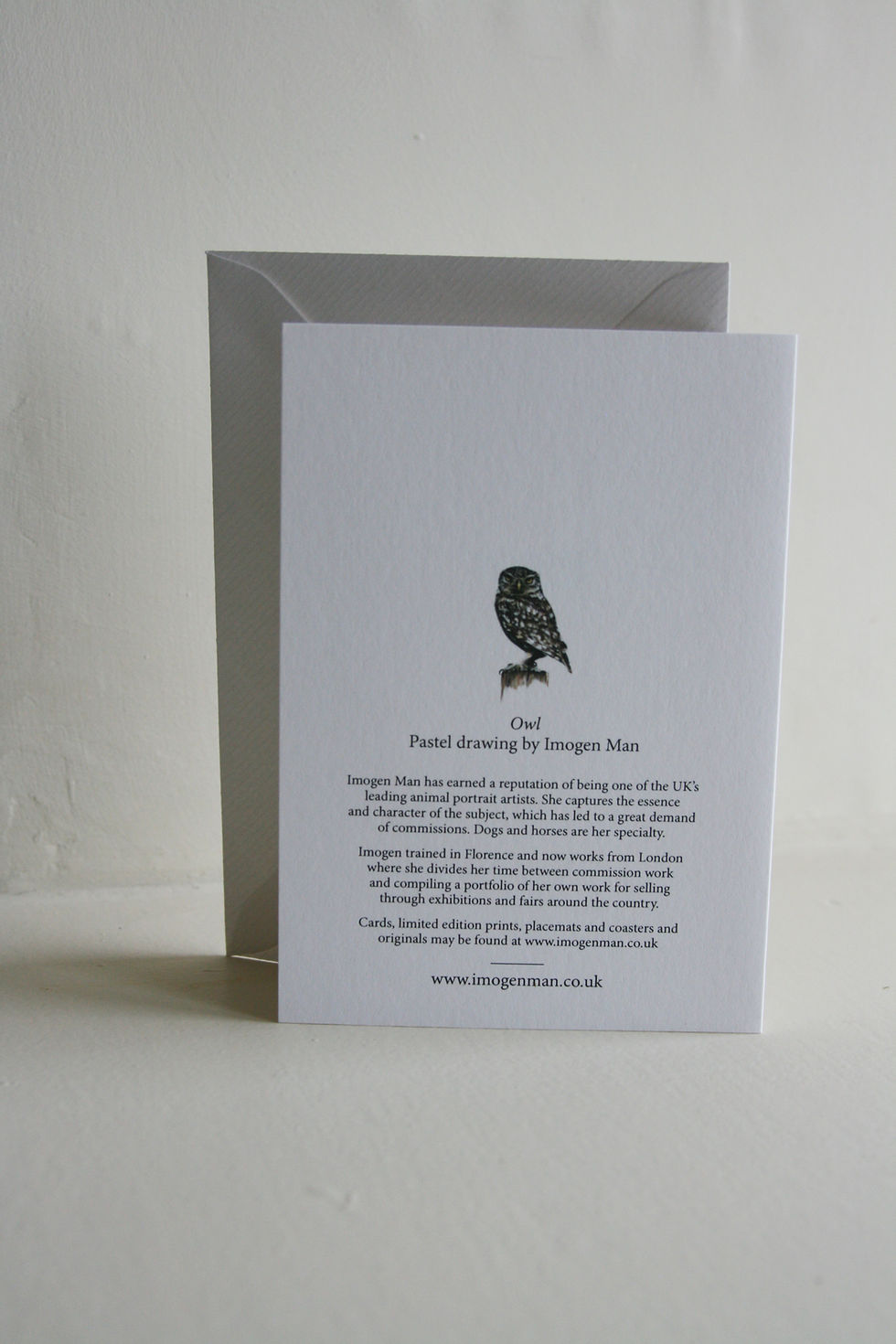 Thumbnail: Archimedes the Owl