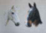 Flash and Baron