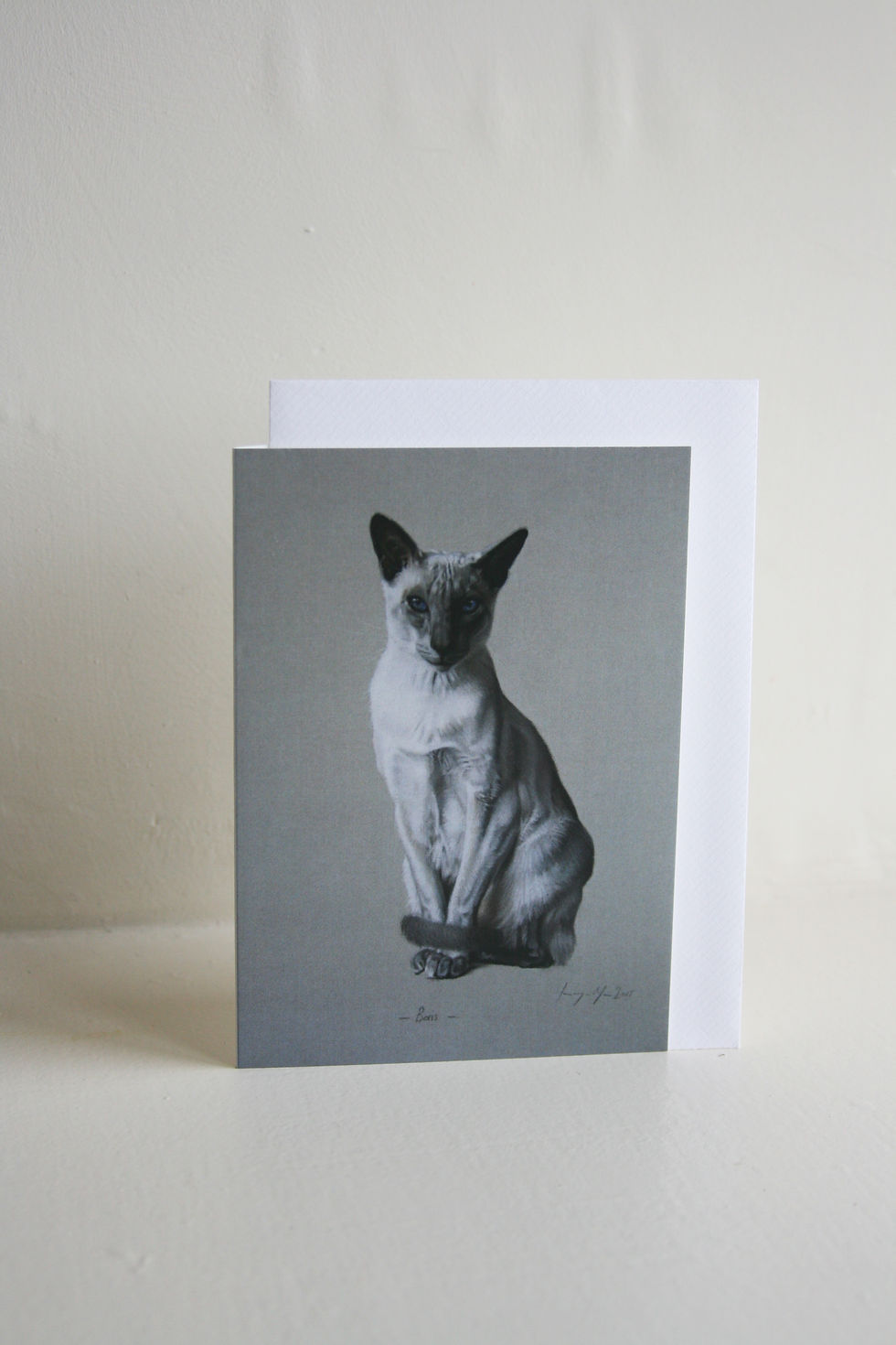 Thumbnail: Boris the Siamese Cat