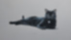 Tom