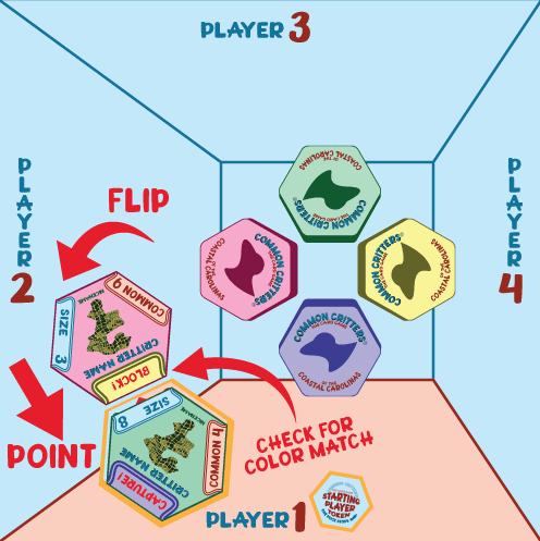 RD1-Player2b.gif