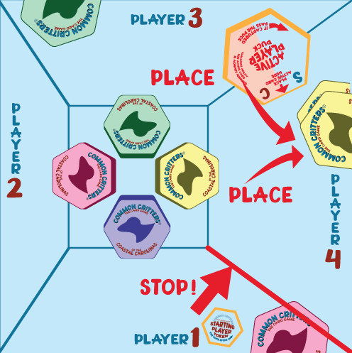 RD1-Player4c.gif