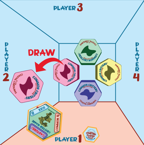 RD1-Player2a.gif
