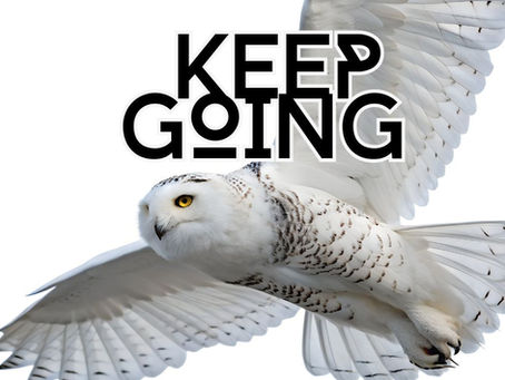 Nothing Special Here, YET!