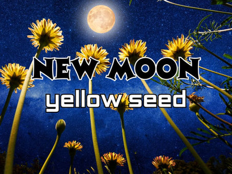 Welcome Yellow Seed