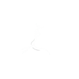 44.png