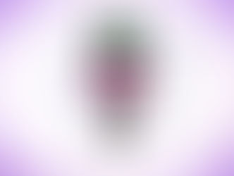 From nothing to something or indeed something to nothing depending on mood