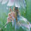 Thumbnail: Fairy and pink flower Giclee Limited Edition print, 'It can't rain all the time'