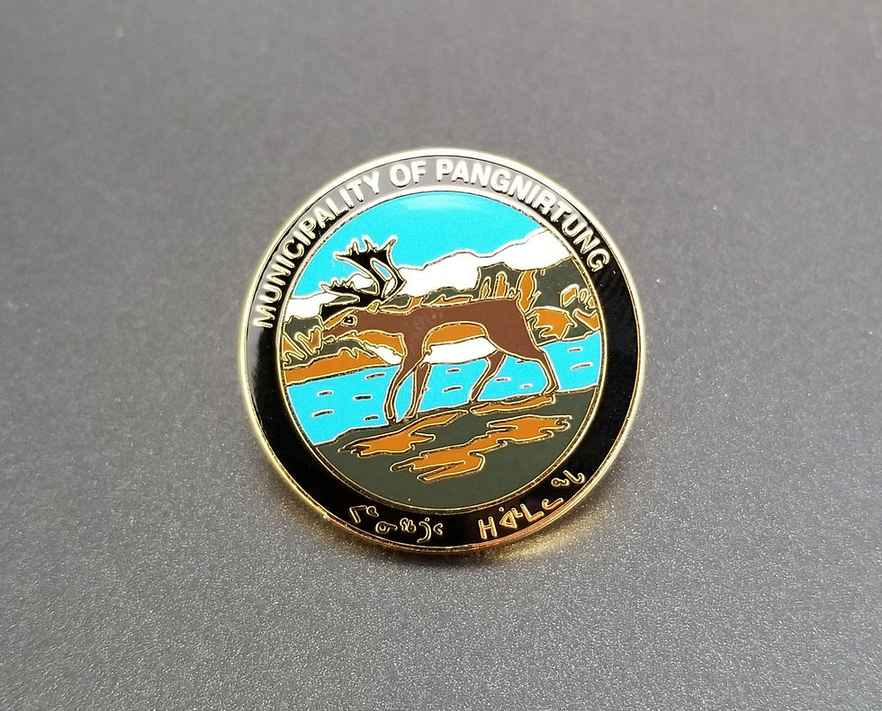 A pin I got from work