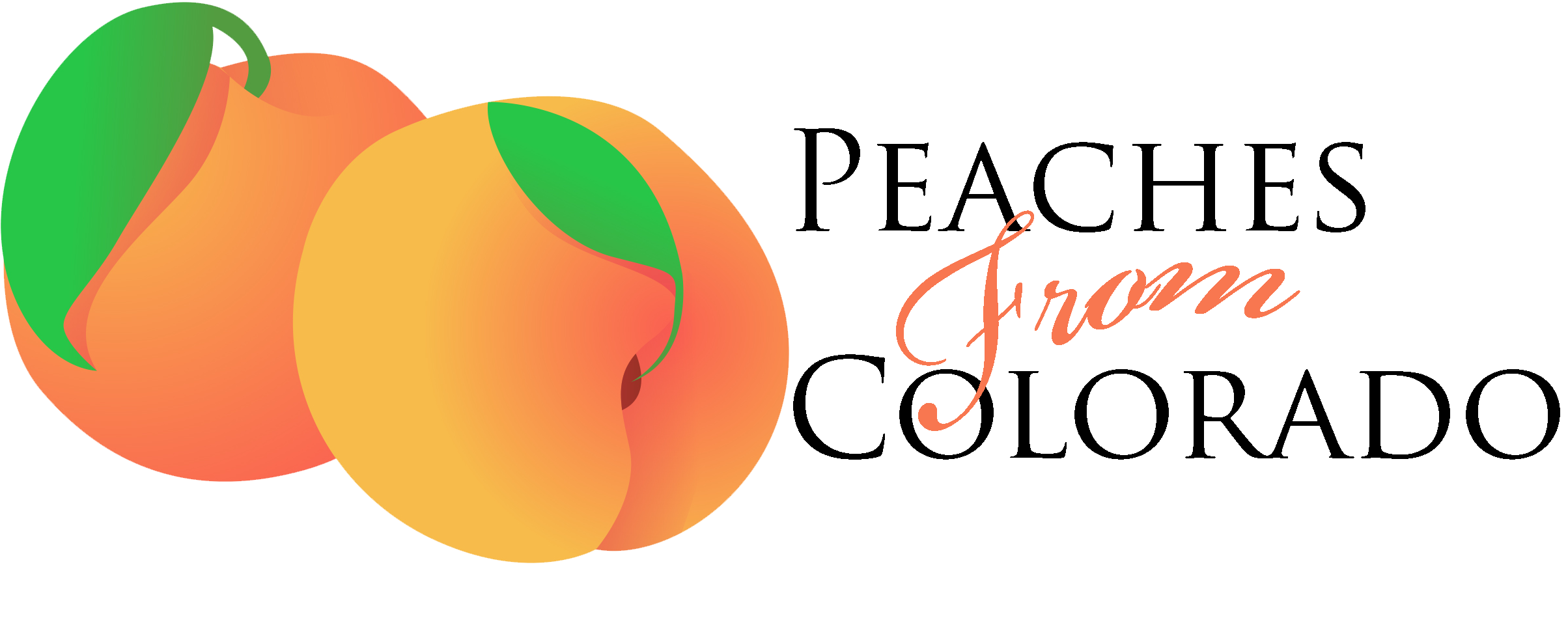 Fresh Peaches From Colorado