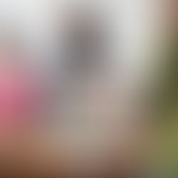 Saiba por que os vídeos são a grande tendência de comunicação em redes sociais