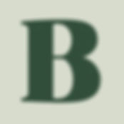 large-logo-70a360ae.webp