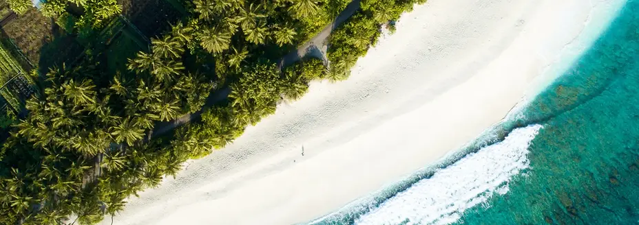 Untitled design (10).webp