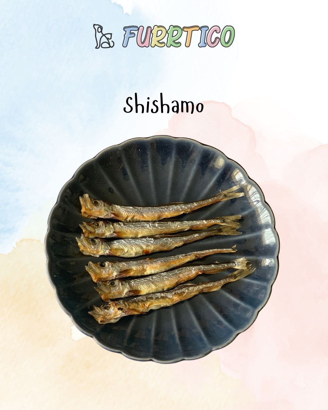 Shishamo