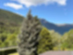 The view from the balcony