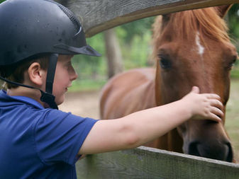Live, Love, and Learn at Eden Farm’s Summer Horse Camp