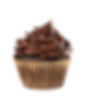 Chocolate Cupcake.jpg