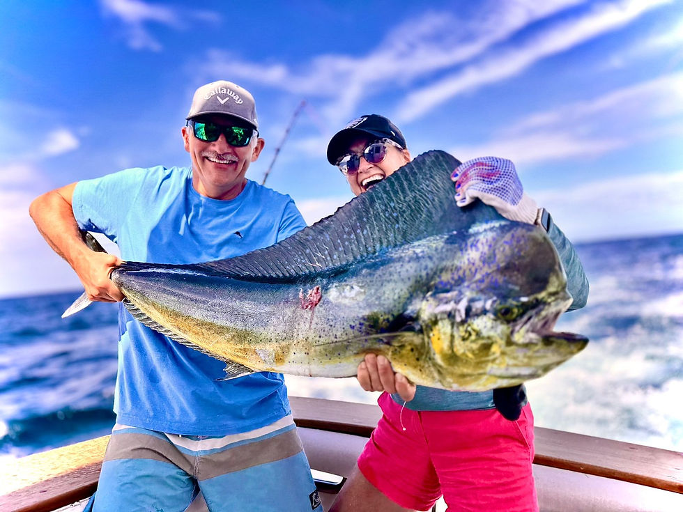 Mahi Mahi Fish