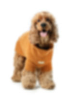 Thumbnail: Eskimo Fuzzy Sweater - Orange