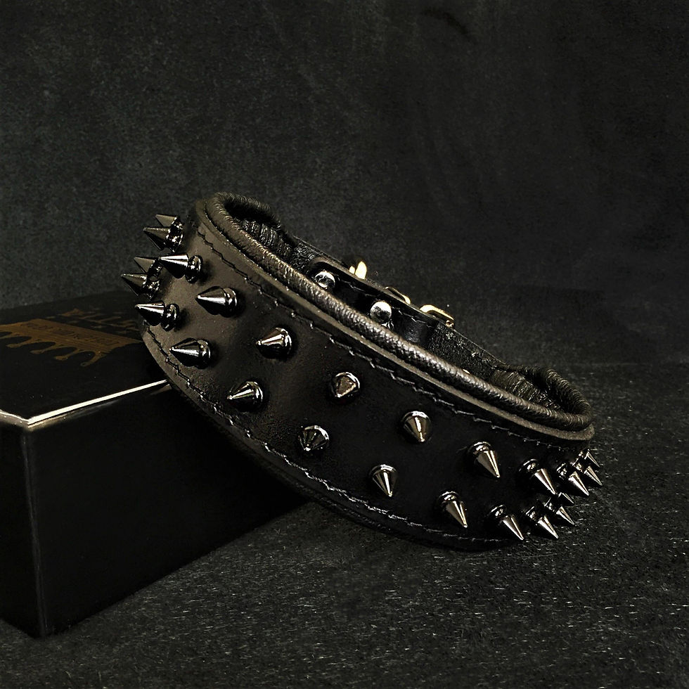 Thumbnail: BLACK "Frenchie" collar
