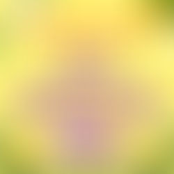 아산 아델테라피 잔잔한 선율같아요