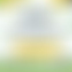 광명 나비스웨디시 사뿐히 가벼운 마사지