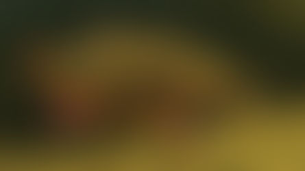 Ranking the State Fish