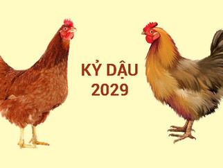 Sinh Năm 2029 Mệnh Gì? Tuổi Kỷ Dậu 2029 Hợp Màu Gì? Hợp Tuổi Gì? Hợp Hướng Nào?