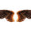 Thumbnail: Bird Wings PNG PSD Photoshop 05