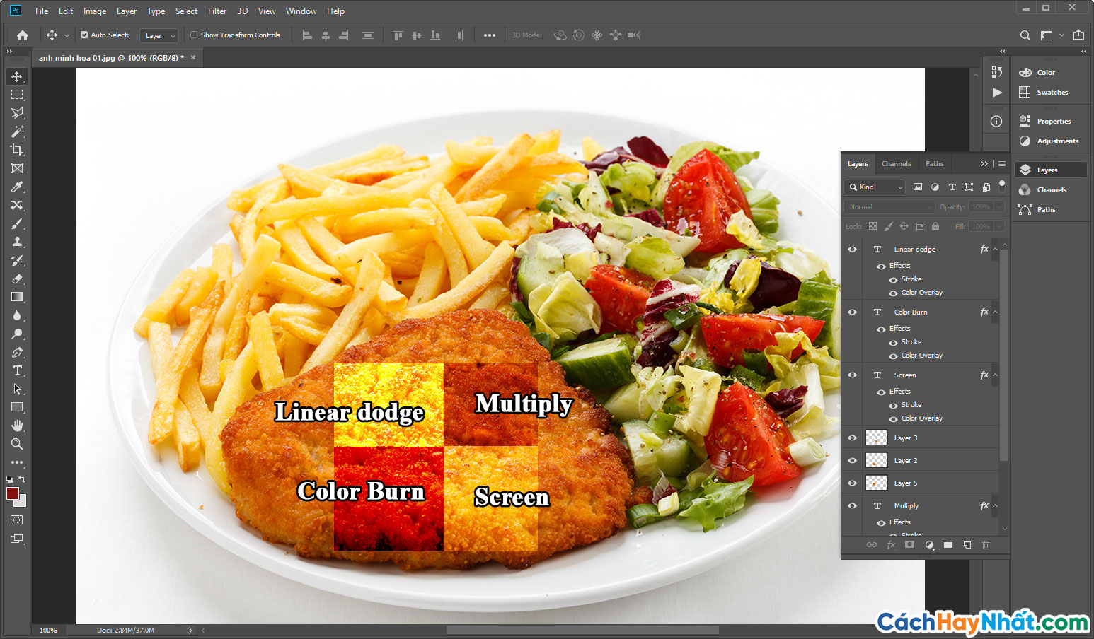 Photoshop Color Changer: Tools You Need to Know