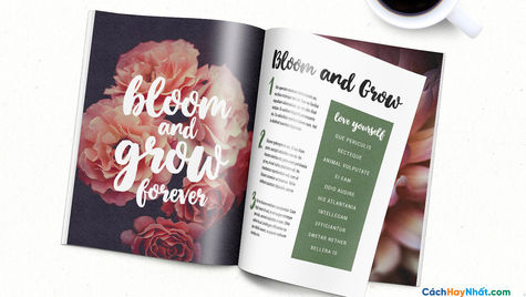 Free Font April Blossom Tuyệt Đẹp Cho Thiết Kế