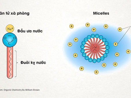 Lịch sử của xà phòng và cách chúng tiêu diệt virus corona