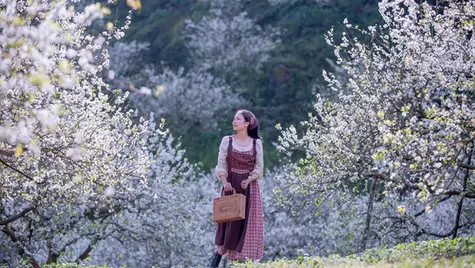 Thung Lũng Mận Nà Ka - Xứ sở hoa mận đẹp như tiên cảnh