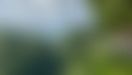 Cầu kính Bạch Long Mộc Châu – Cây cầu kính dài nhất thế giới