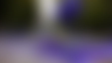 Ý tưởng chụp ảnh chân dung và tưởng tượng của Kirsty Mitchell