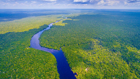 Top 10 Longest Rivers in the World