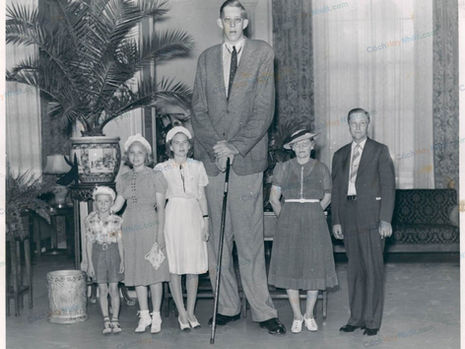 Top 10 Tallest People In World History