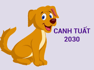 Sinh Năm 2030 Mệnh Gì? Tuổi Canh Tuất 2030 Hợp Màu Gì? Hợp Tuổi Gì? Hợp Hướng Nào?