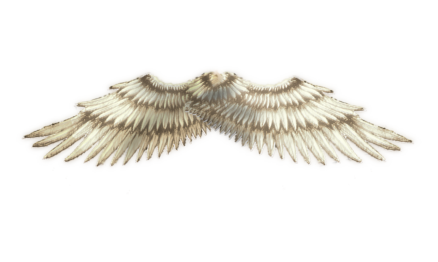 Angel Wings PNG PSD Photoshop 11