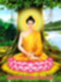 ảnh Phật Thích ca Mâu ni thiền định